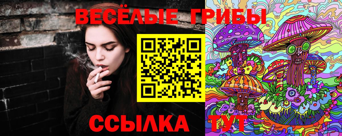 Псилоцибиновые грибы MAGIC MUSHROOMS  продажа наркотиков  Ликино-Дулёво  Вход с VPN 